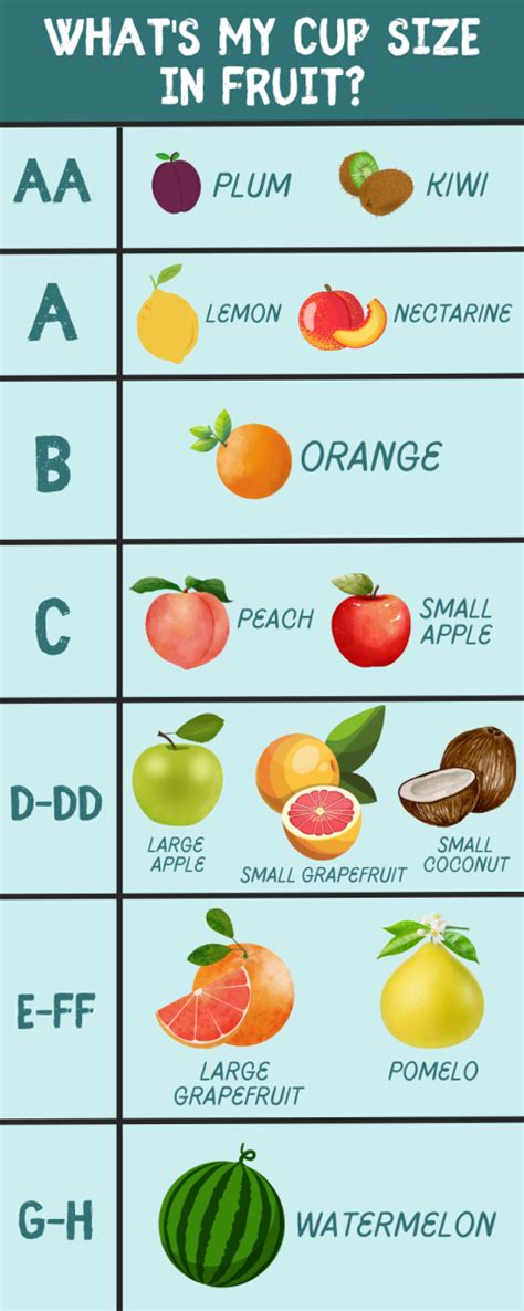 medium size boobs|Breast Size Comparison 